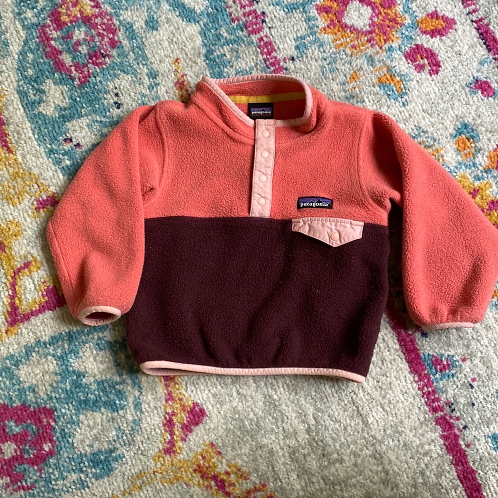 Patagonia Synchilla Fleece